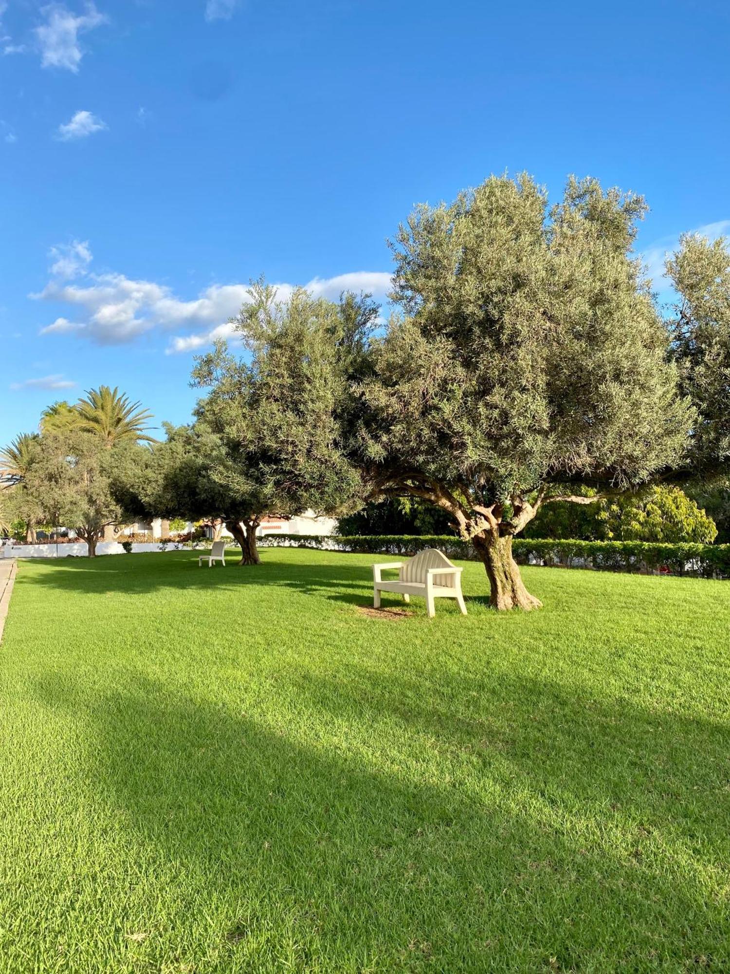 Casa Con Terraza Y Piscina En Pasito Blanco, Cerca De Maspalomas エクステリア 写真